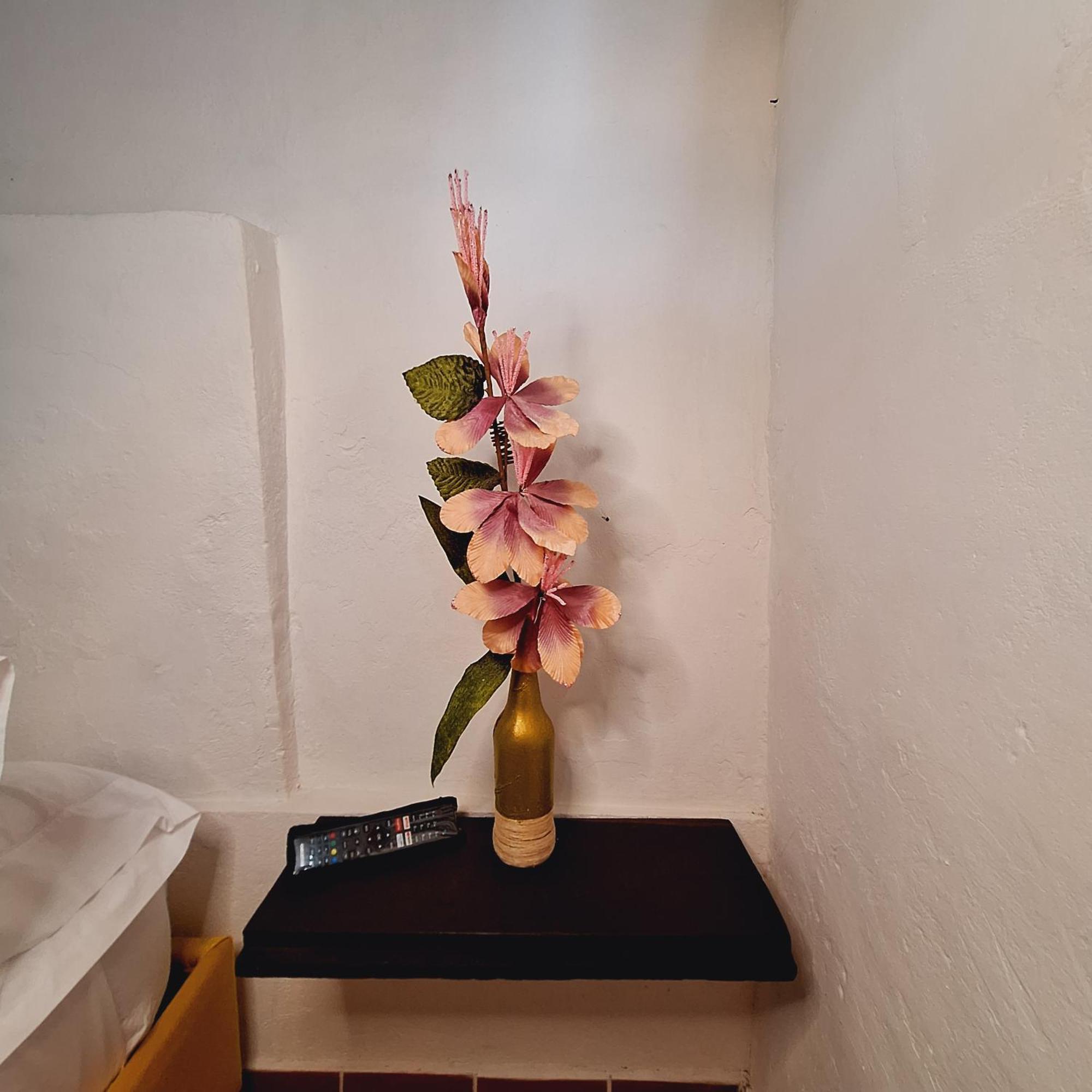 Hostal Colombian Gold ซานกิล ภายนอก รูปภาพ