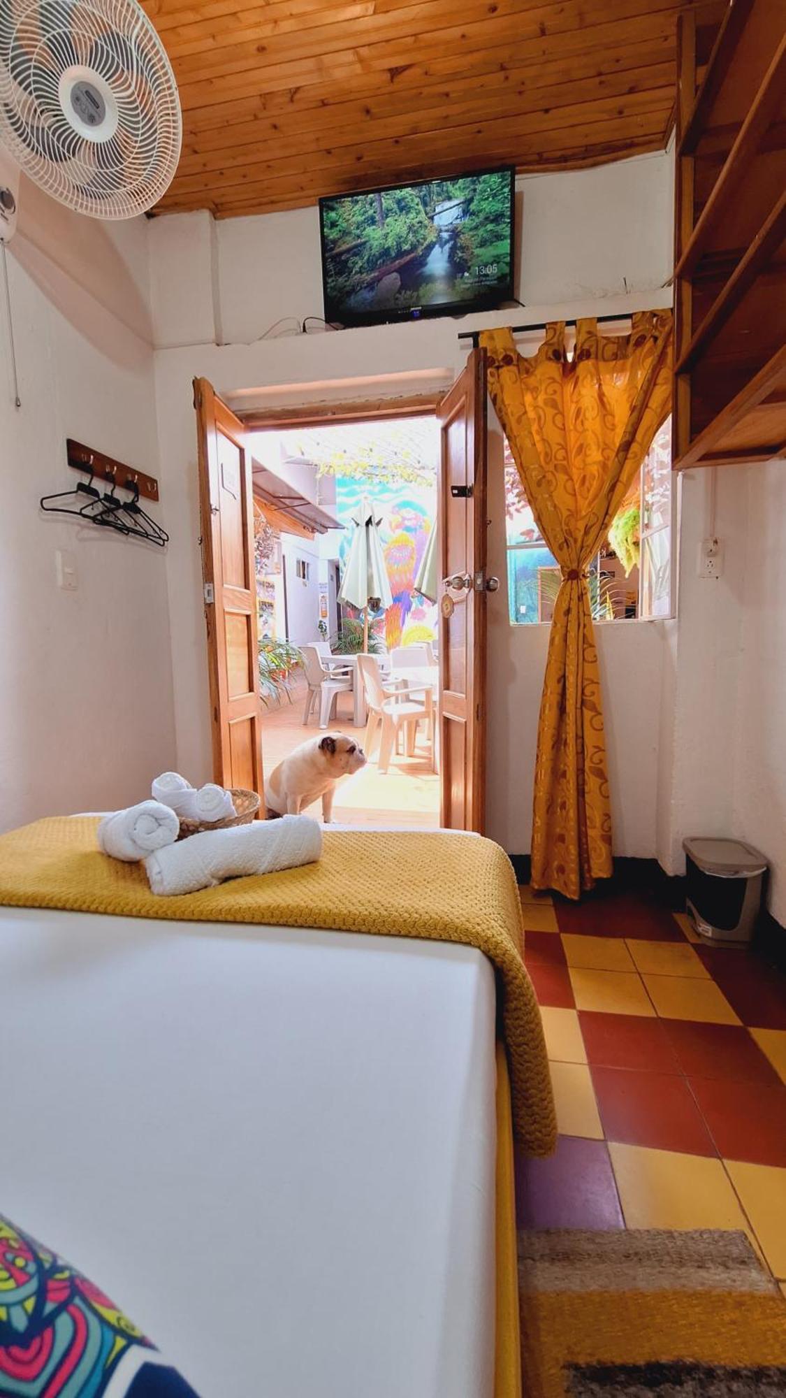 Hostal Colombian Gold ซานกิล ภายนอก รูปภาพ